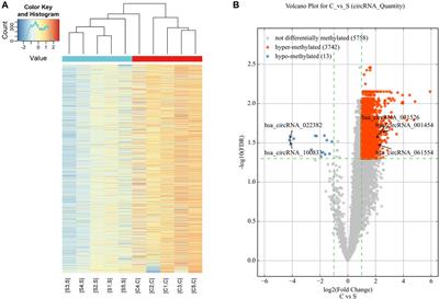 N6-methyladenosine methylation analysis of circRNAs in acquired middle ear cholesteatoma